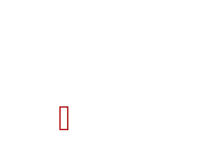 COCO_94185_box