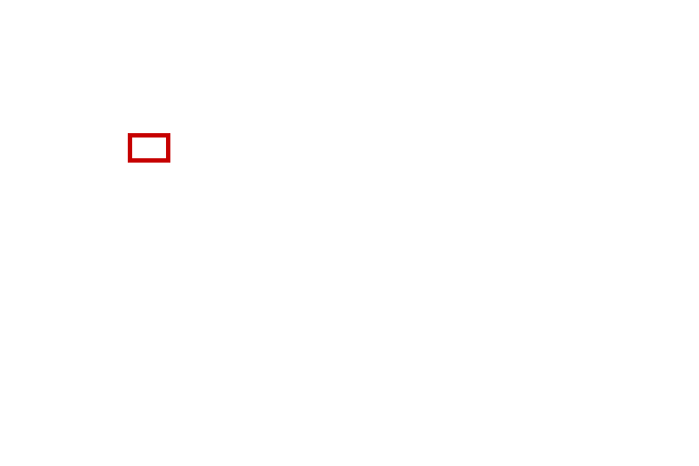 COCO_95155_box