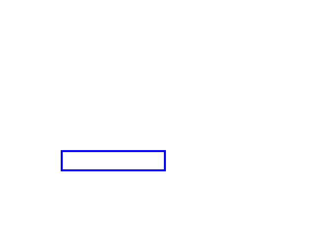 COCO_99039_box