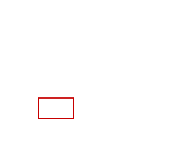 COCO_99039_box