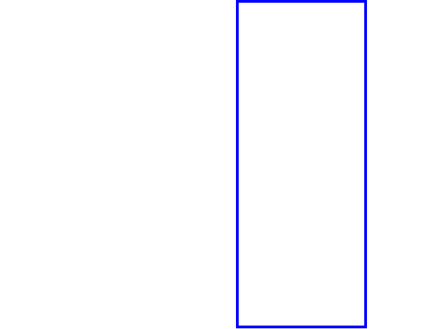 COCO_100238_box