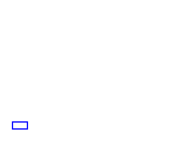 COCO_100283_box