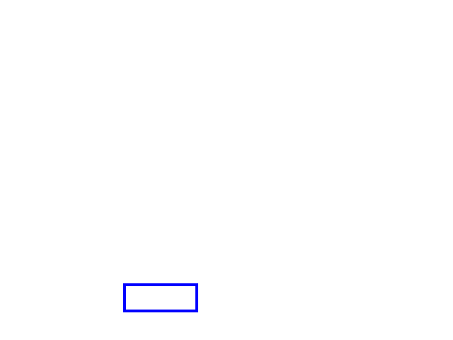 COCO_100283_box