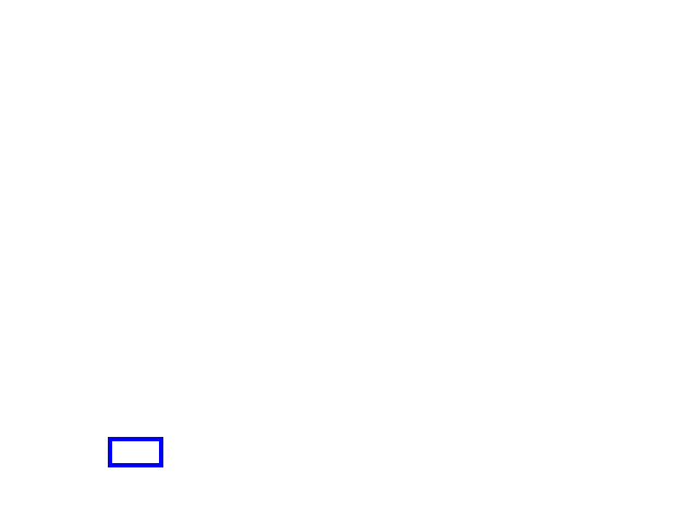 COCO_100283_box
