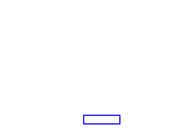 COCO_100283_box