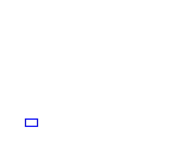 COCO_100283_box