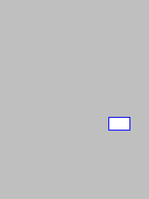 mask_COCO_103723_box