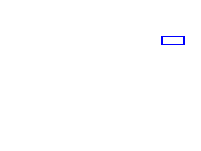 COCO_106389_box