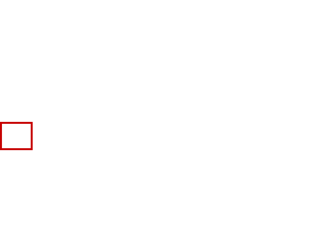 COCO_107851_box
