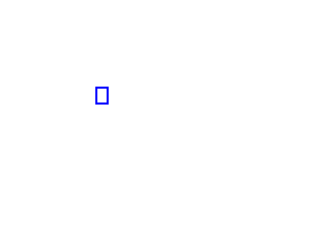 COCO_109976_box