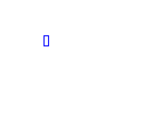 COCO_109976_box