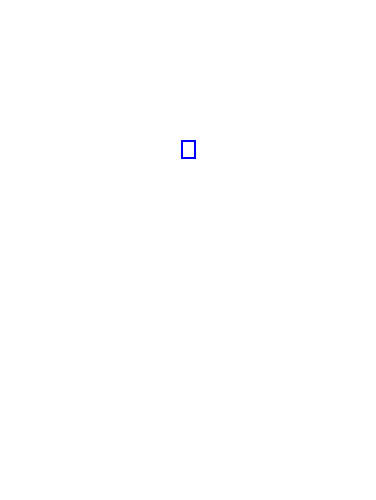 COCO_163117_box