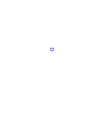 COCO_163117_box