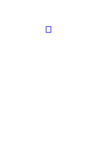 COCO_163117_box