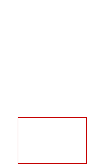COCO_231527_box