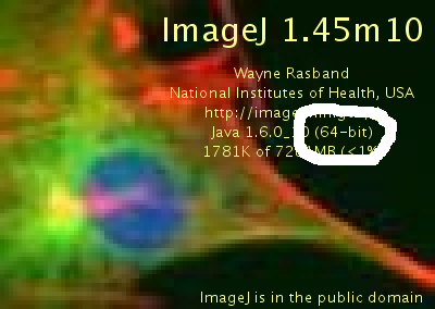 multi measure plugin imagej